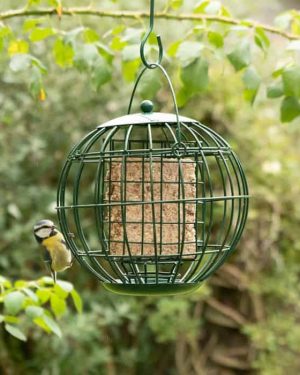 Vetblokhouder London