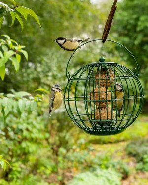 London vetbollenhouder buiten