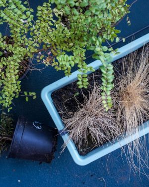 Laat je balkonbak vullen bij Marvy Green