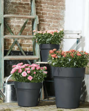 Plantenpot Elho Green Basics Top Planter