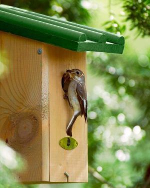 Nestkast Koolmees Vogelbescherming
