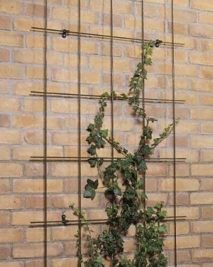 Plantenklimrek Nature groen 150cm x 75cm voor het ondersteunen en geleiden van (klim)planten