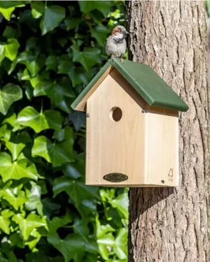 Nestkast Mus (Oklahoma)