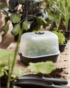 Kweekhuis Elho met schotel