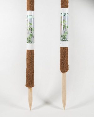 Kokosplantstok Nature