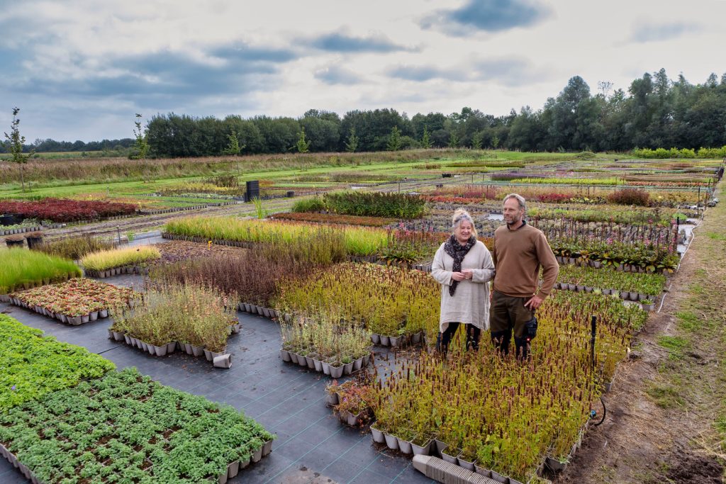 Bij kwekerij Verhoeven in Biezenmortel worden alle planten biologisch en gifvrij gekweekt.