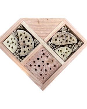 Bestuivershotel Bee&Bee BeeGrateful