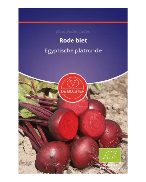 Rode Biet 'Egyptische Platronde' De Bolster