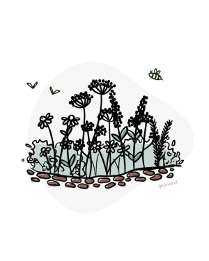 Borderpakket Biologisch Marvy Green