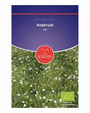 koekruid wit 'De Bolster'