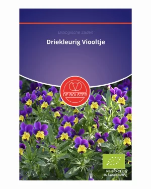 Driekleurig viooltje - de bolster