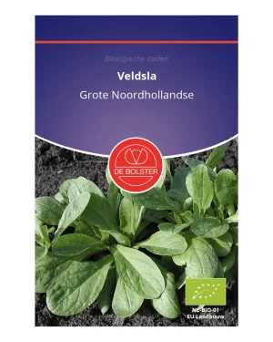 Veldsla 'Grote Noordhollandse' De Bolster