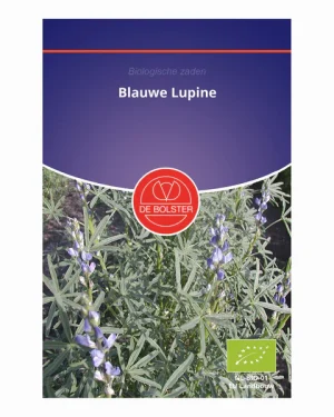 Blauwe lupine 'Groenbemester' De Bolster