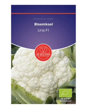 Bloemkool 'Liria F1' De Bolster