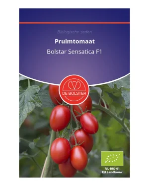 Pruimtomaat 'Bolstar Sensatica F1' De Bolster