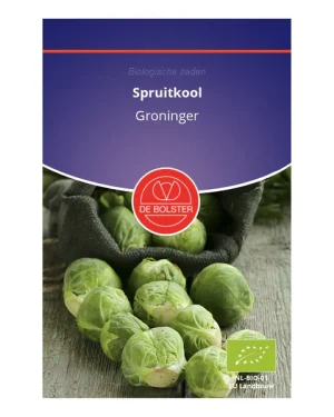 Spruitkool 'Groninger' De Bolster